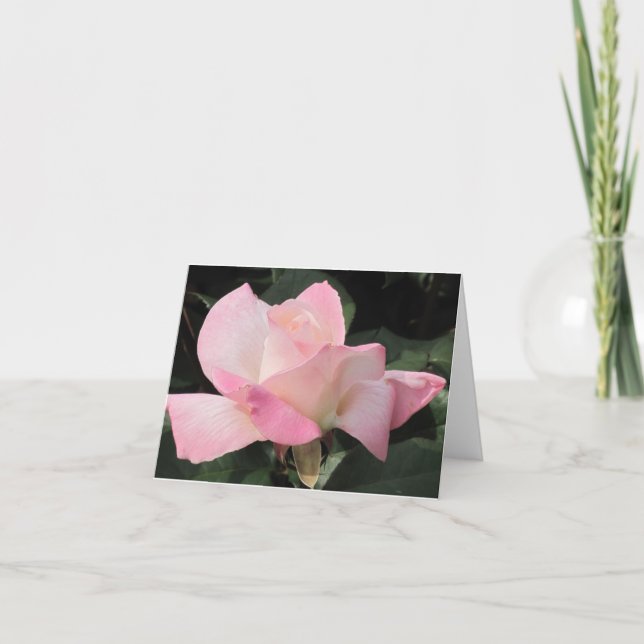 Flying pink rose card (Front)