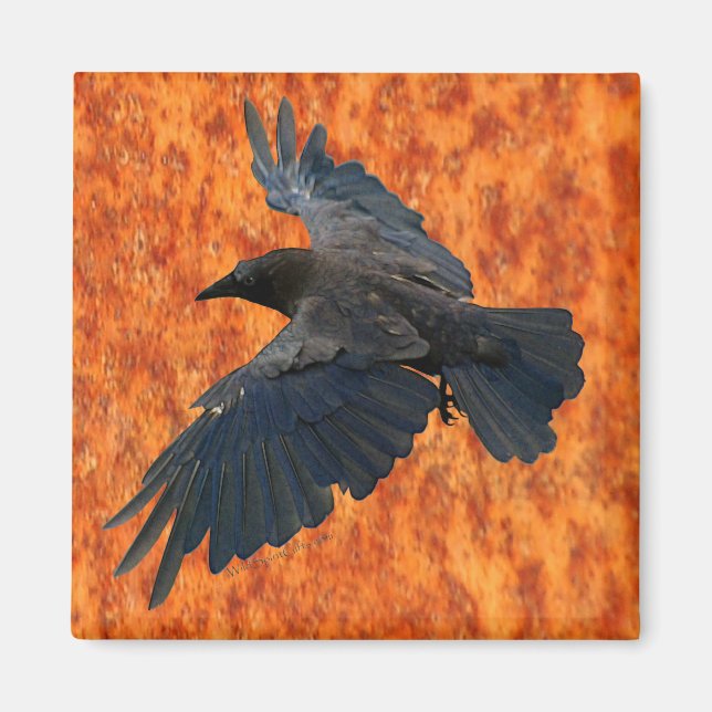 Flying Raven, Crow & Rustic Grunge Art Magnet (Front)