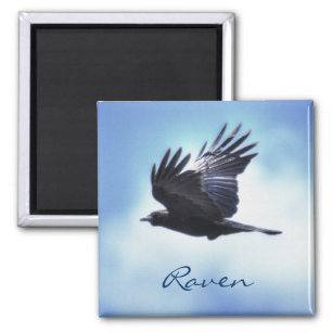 Flying Raven in Blue Sky HDR Photo Design 2 Magnet