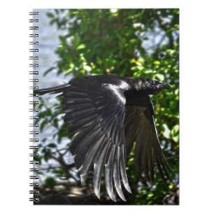 Flying Raven in Sunlight Wildlife Photo Notebook