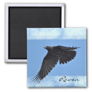 Flying Raven Modern Art in Blue Magnet