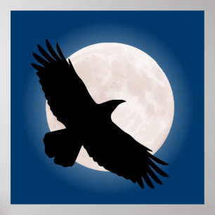 Flying raven with the moon behind it poster