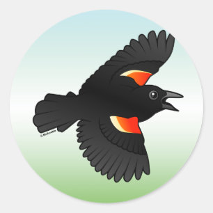 Flying Red-winged Blackbird Classic Round Sticker