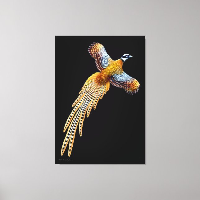 Flying Reeves Pheasant Wrapped Canvas (Front)
