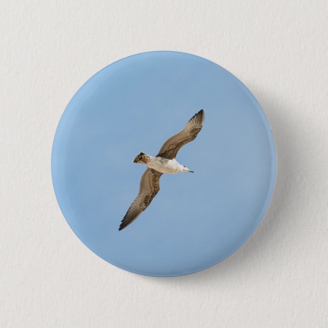 Flying seagull 2 inch round button (Front)