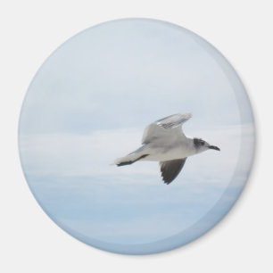 Flying Seagull Magnet
