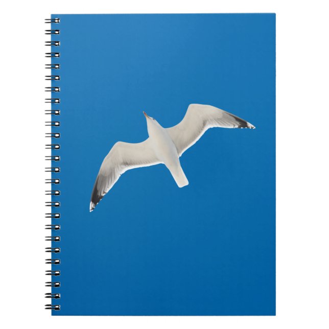 Flying seagull notebook (Front)