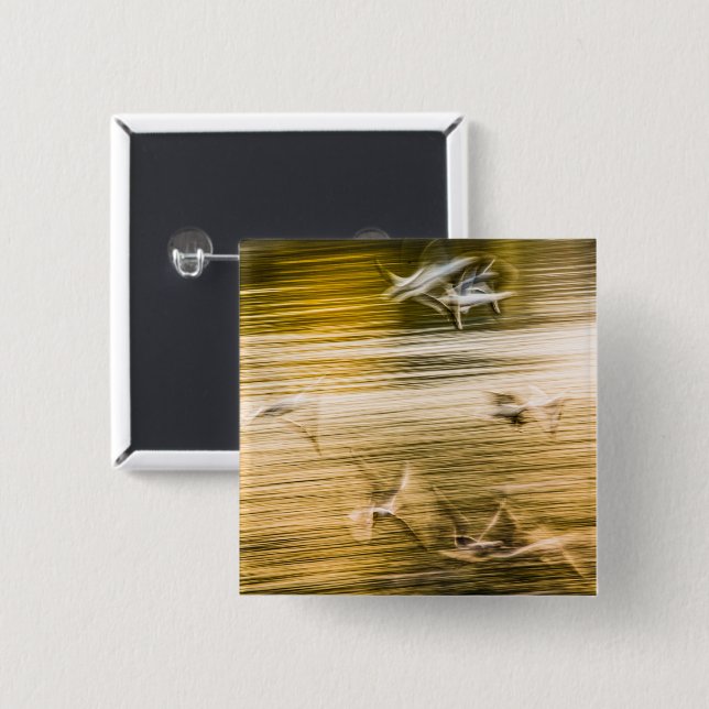 Flying seagulls - abstract 2 inch square button (Front & Back)
