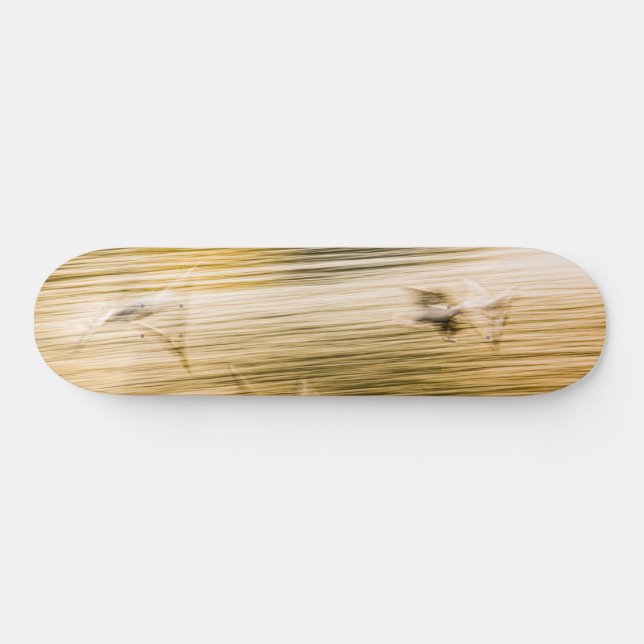 Flying seagulls - abstract skateboard (Horz)