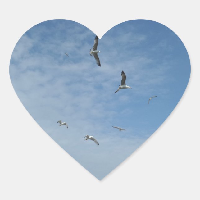 Flying Seagulls Heart Sticker (Front)