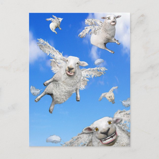 FLYING SHEEP 2 POSTCARD (Front)