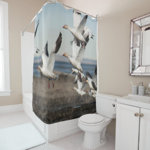 Flying Snow Geese