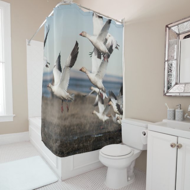 Flying Snow Geese (In Situ)