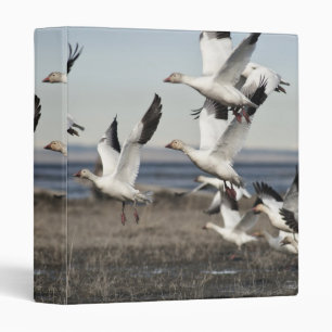 Flying Snow Geese Binder
