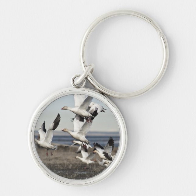 Flying Snow Geese Keychain (Front)