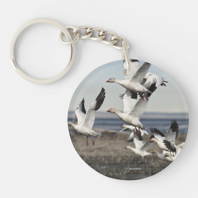 Flying Snow Geese Keychain (Front)