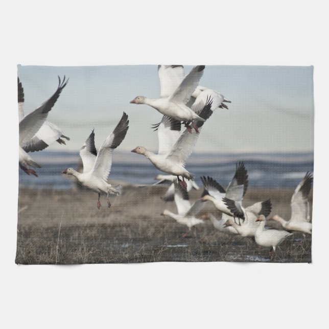 Flying Snow Geese Kitchen Towel (Horizontal)