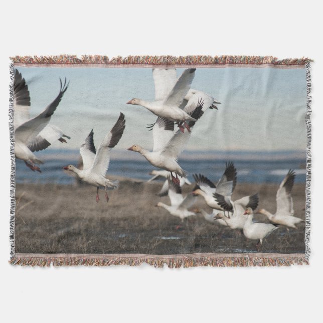 Flying Snow Geese Throw Blanket (Front)