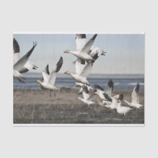 Flying Snow Geese Tissue Paper