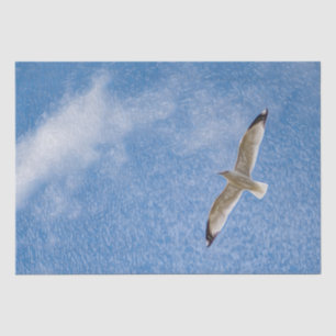 Flying Solo Seagull in the Sky Tissue Paper