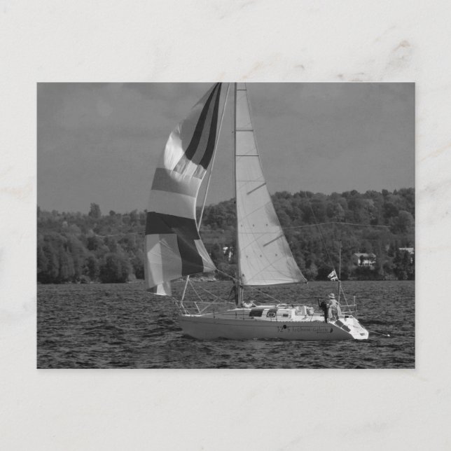 Flying Spinnaker Postcard (Front)