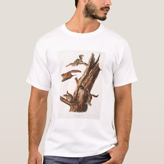Flying Squirrel Camping Gear Deco Gifts T-Shirt (Front)
