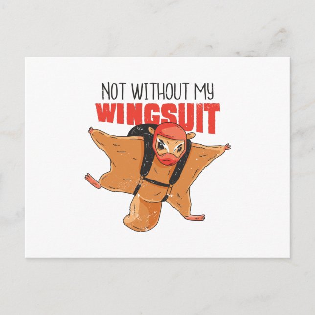 FLYING SQUIRREL FUNNY POSTCARD (Front)