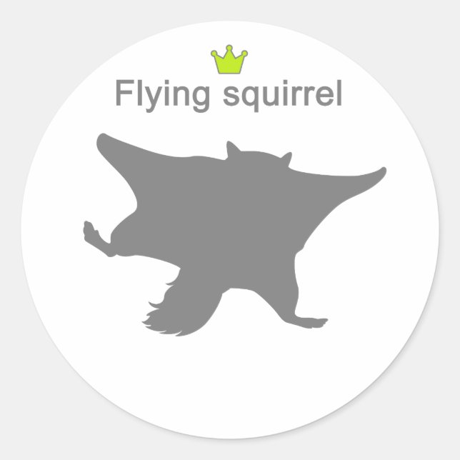 Flying squirrel g5 classic round sticker (Front)