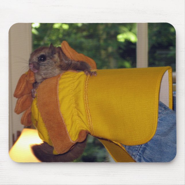Flying Squirrel Mouse Pad (Front)