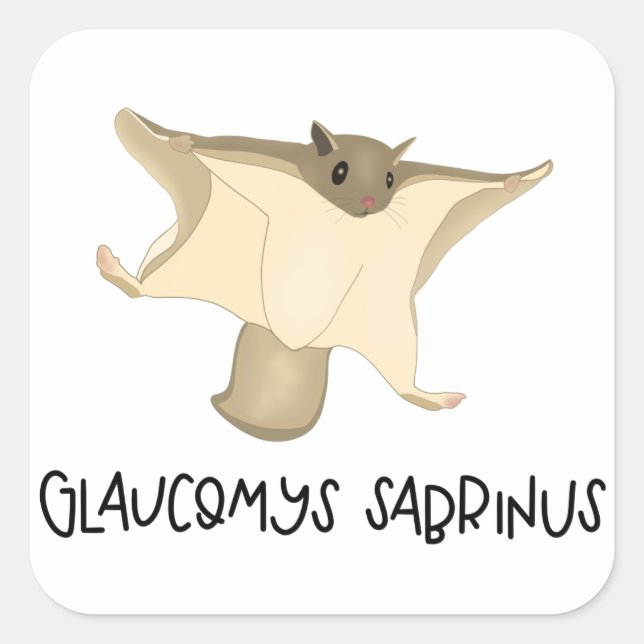 Flying squirrel sticker (Front)