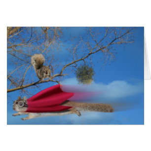 Flying Super Squirrel