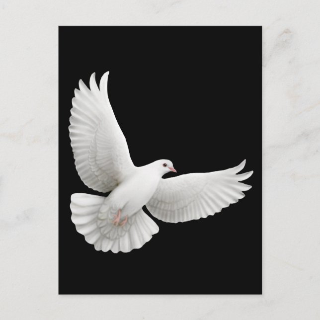 Flying White Dove Postcard (Front)