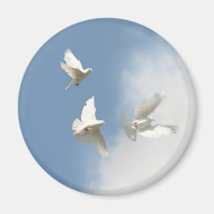 flying white doves magnet