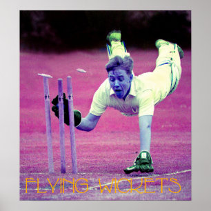 Flying Wickets Poster