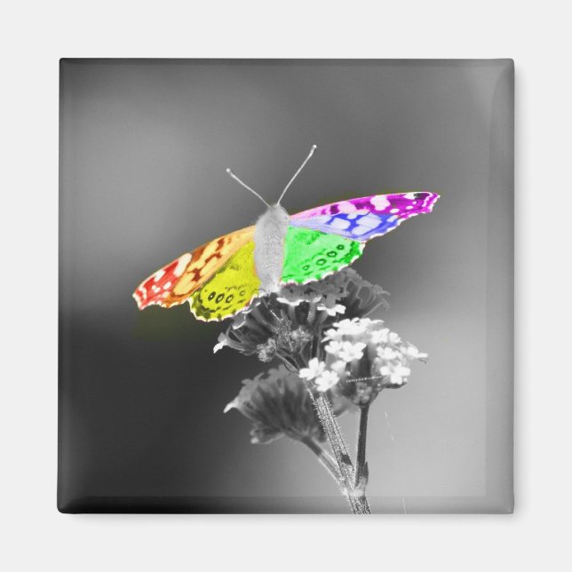 Flying With Pride Magnet (Front)