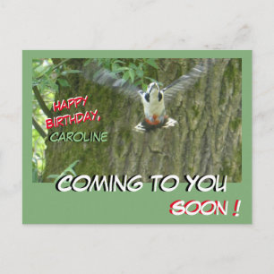 Flying Woodpecker Coming to You Birthday Postcard