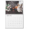Flynn & Mugen's Year of Pawsitivity