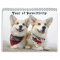 Flynn & Mugen's Year of Pawsitivity