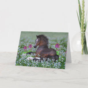 Foal and Flowers Blank Greeting Card