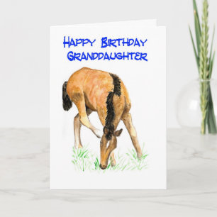 'Foal' Birthday Card for Granddaughter