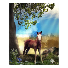 Foal Horse in Paradise