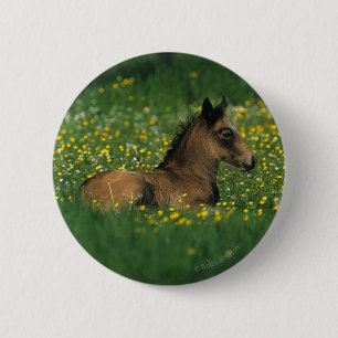 Foal Laying Down in Flowers 2 Inch Round Button