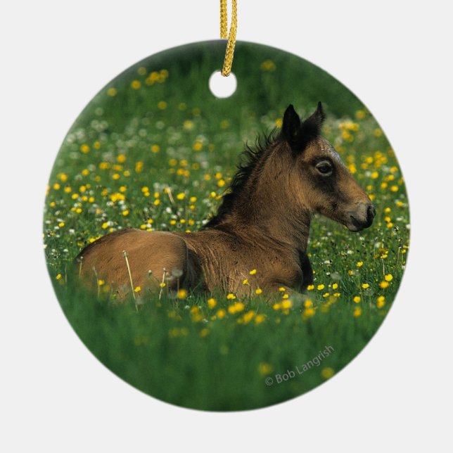 Foal Laying Down in Flowers Ceramic Ornament (Front)