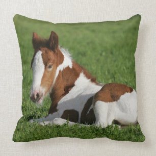Foal Laying in Grass Throw Pillow