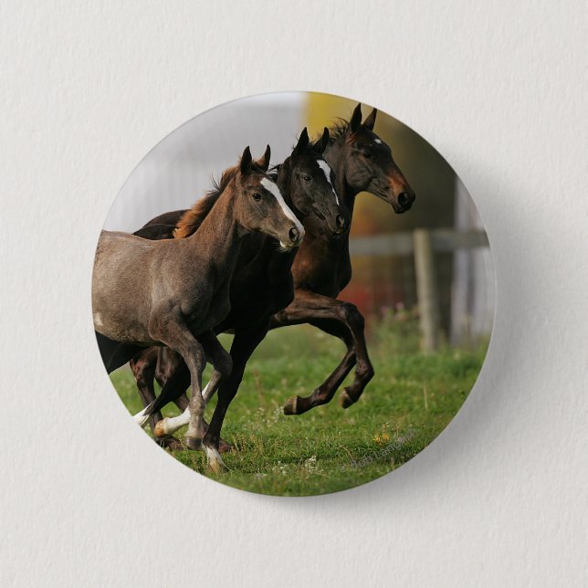Foal Running 2 Inch Round Button (Front)