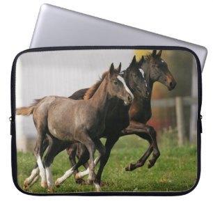 Foal Running Laptop Sleeve