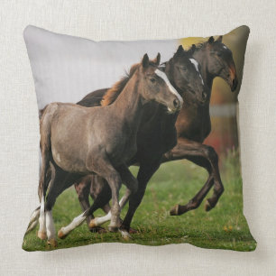 Foal Running Throw Pillow