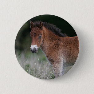 Foal Standing 2 Inch Round Button