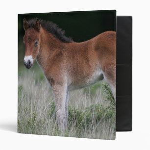 Foal Standing Binder