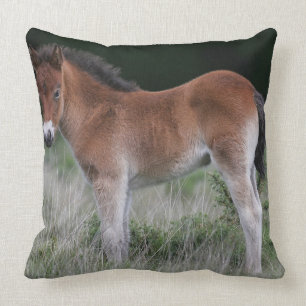 Foal Standing Throw Pillow